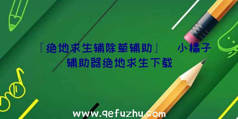 「绝地求生辅除草辅助」|小橘子辅助器绝地求生下载